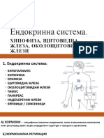 Ендокринна Система. Хипофиза, Щитовидна Жлеза, Околошитовидни Жлези.