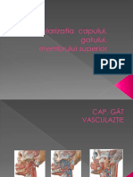 Vascularizatie Cap, Gat, Membru Superior Ppt