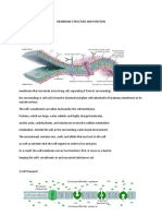 Membrane Struct-Wps Office