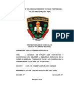 Elaboración de Estudio de Propuestas y Sugerencias para Mejorar La Seguridad Ciudadana en La Ciudad de Arequipa2022