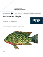 Acuacultura Tilapia - Instituto Nacional de Pesca - Gobierno - Gob - MX