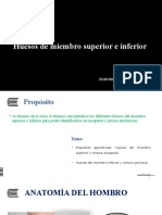 Semana 04 - Anatomia de Miembro Superior e Inferior