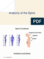 7 Spine