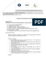 M2 - Fisa de Activitate Practica