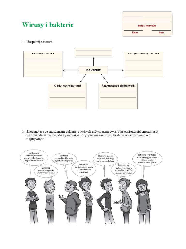 Karta Pracy Wirusy I Bakterie | PDF