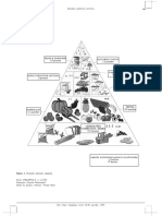 Piramide PDF