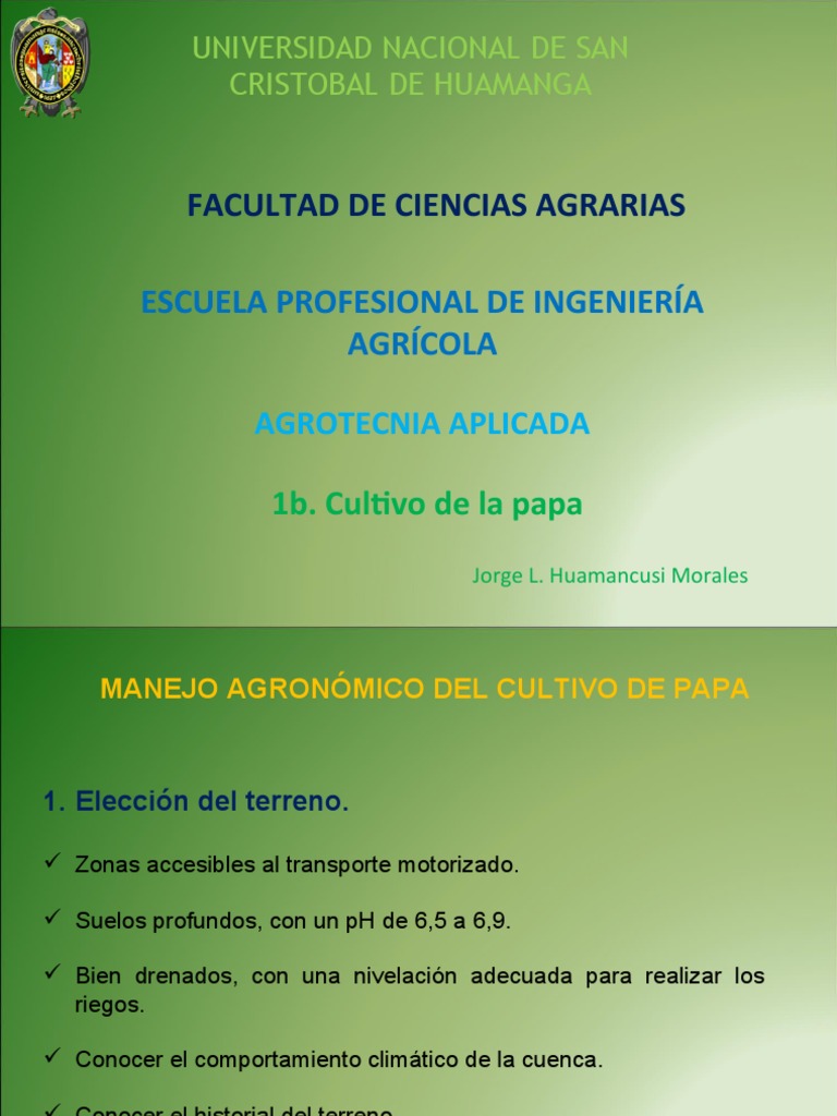 1b Cultivo De Papa Pdf Patata Riego