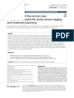 MRI Anatomy of The Rectum: Key Concepts Important For Rectal Cancer Staging and Treatment Planning