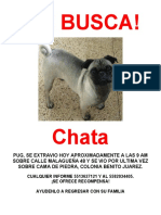 Se Busca