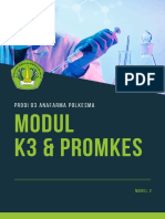 Modul Ii K3 & Promkes