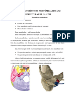 Características Anatómicas de Las Estructuras de La ATM