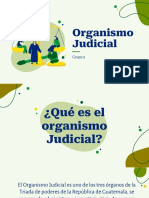 Organismo Judicial
