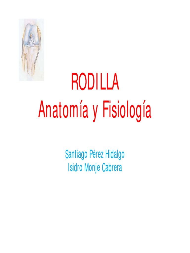 3 1anatomia Y Fisiologia Pdf