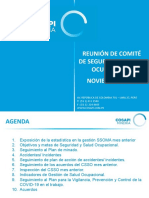 1.- Comité SSO - Noviembre_2022