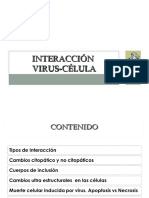 5 - Interaccion Virus - Celula