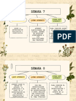 Auetoevaluación Unidad Ii