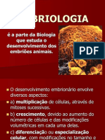 2. Embriologia