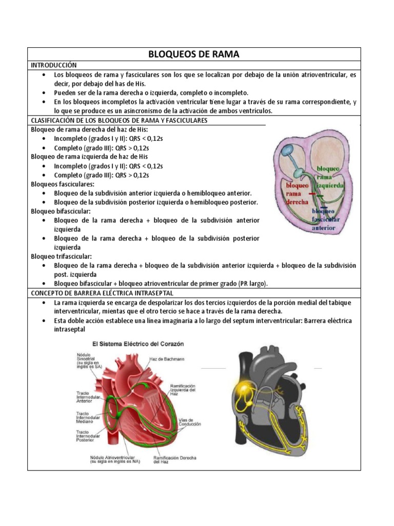 Clasificación de Bloqueos de Rama | PDF | Electrocardiografia | Cardiología