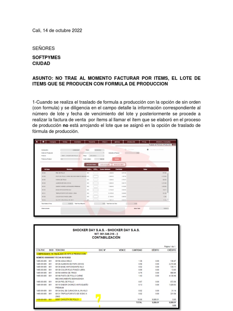 Reporte Lote Traslado de Form A PDN | PDF | Negocios | Finanzas y dinero