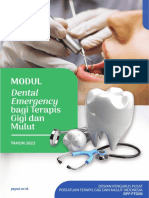 Kebijakan Dental Terapis Gigi Dan Mulut