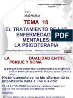 Tratamiento de las enfermedades mentales msp