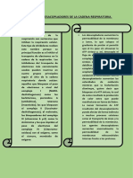 INHIBIDORES Y DESACOPLADORES DE LA CADENA RESPIRATORIA. PORQUE LAS PLANTAS SON RESISTENTES AL CIANURO Walter Duberli Teran Huaman, Agronomia,Bioquimica.