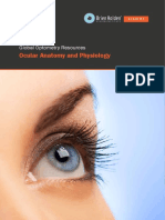 Ocular Anatomy Physiology