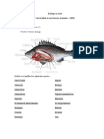 Peces Morfologia Tarea - U3