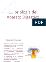 E10 - E11. Desarrollo Del Ap. Digestivo y Cavidades Corporales