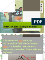 WHAT Is H2S (Hydrogen Sulfide)