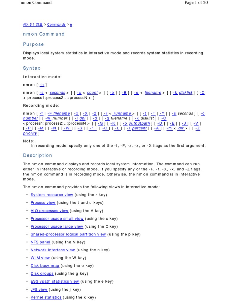 Nmon Command PDF Data Rate Units File System
