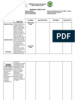 Nursing Care Plan Template