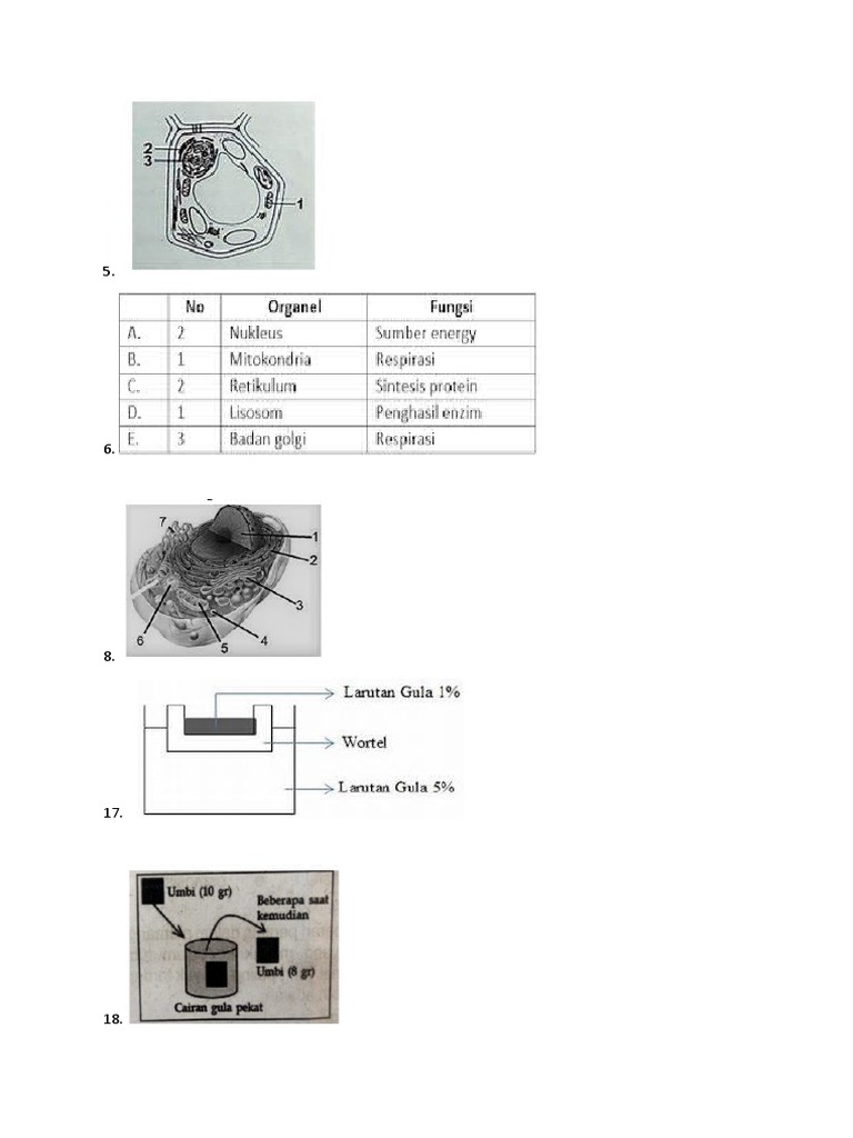 Gambar Soal | PDF