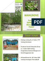Mangrove in Biatan