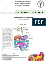 Anatomia Del Duodeno - Pancreas