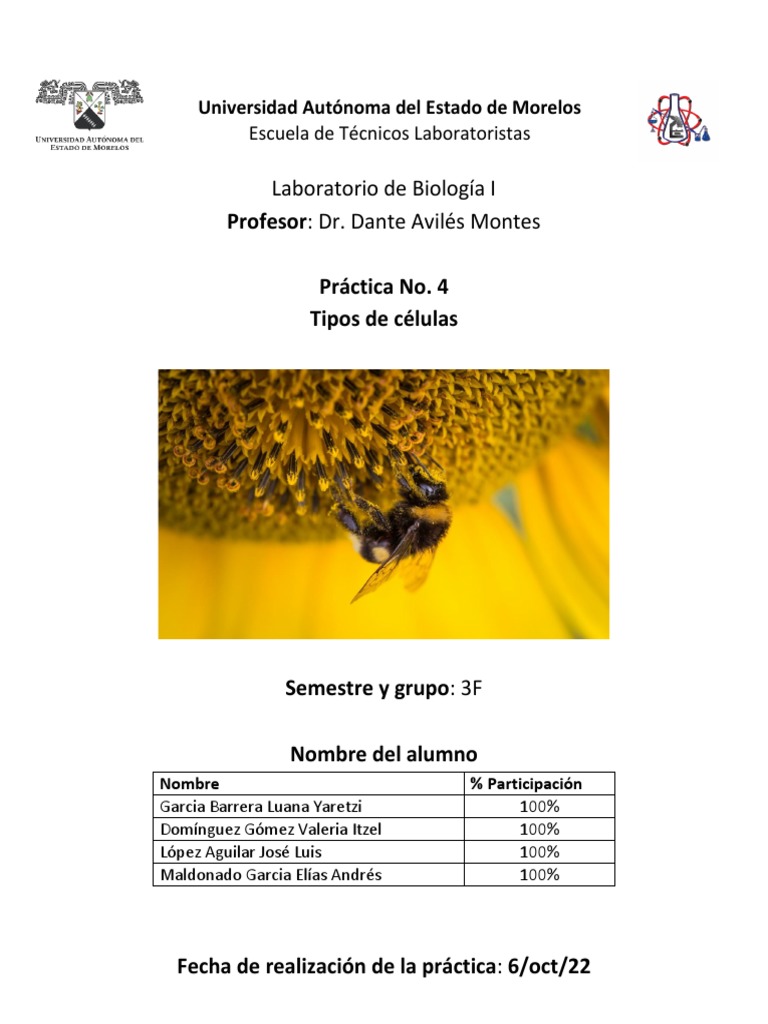 pr-ctica-no-4-descargar-gratis-pdf-biolog-a-celular-plantas