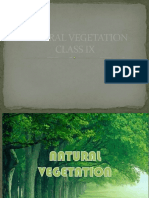 Natural Vegetation Class Ix