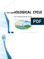 Hydrological Cycle