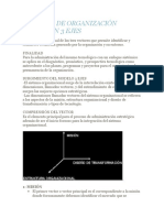 MODELOS_DE_ORGANIZACION_BASADA_EN_3_EJES (1)