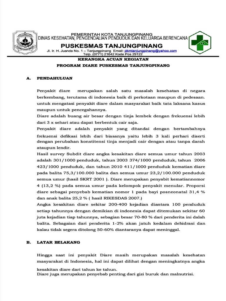 Program Penanganan Diare Puskesmas Tanjungpinang | PDF
