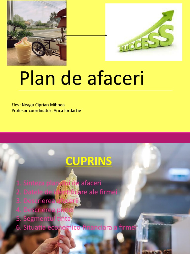 Plan de Afaceri PDF
