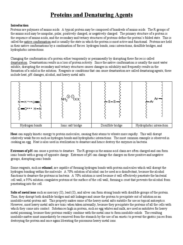 Protein Denaturation Lab PDF Denaturation (Biochemistry) Protein