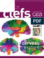 Clefs62 Cerveau Explore