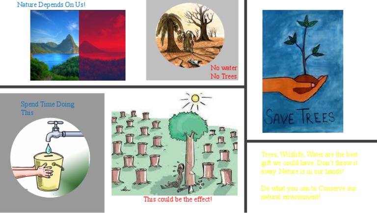 Conservation Poster | PDF