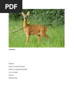 RETEAUA TROFICA
