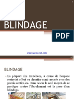 248616792-BLIN DAGE-BT P - Watermark