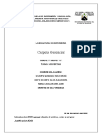 Carpeta Gerencial