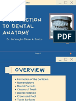 Introduction to Dental Anatomy Overview