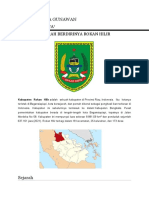 SEJARAH BERDIRINYA KABUPATEN ROKAN HILIR