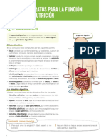 UNIDAD 3 Aparatos para La Función de Nutrición